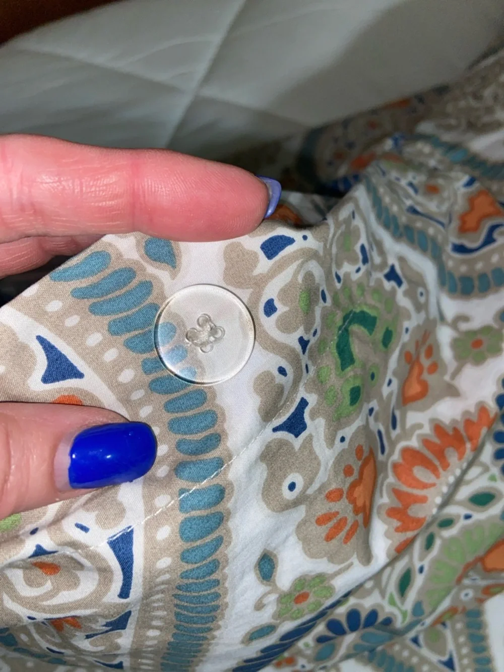Like new Pottery Barn Gisela Paisley Twin Duvet set of 2 w PB teen comforters